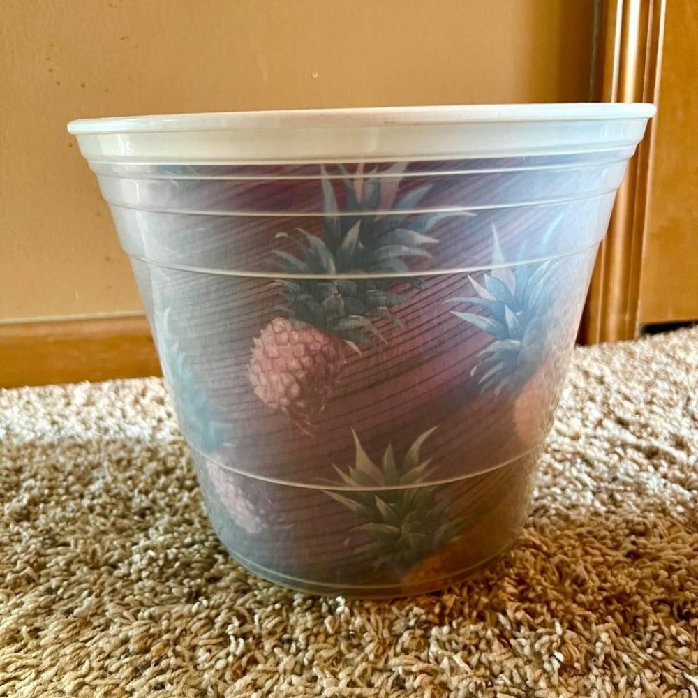 Bed Bath and Beyond - NEW Pineapple Tropical Party Bucket
